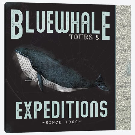 Blue Whale Tours Canvas Print #JMX7} by JMB Design Canvas Art