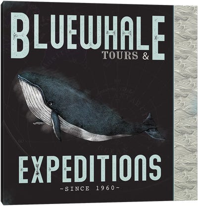 Blue Whale Tours Canvas Art Print - Whale Art