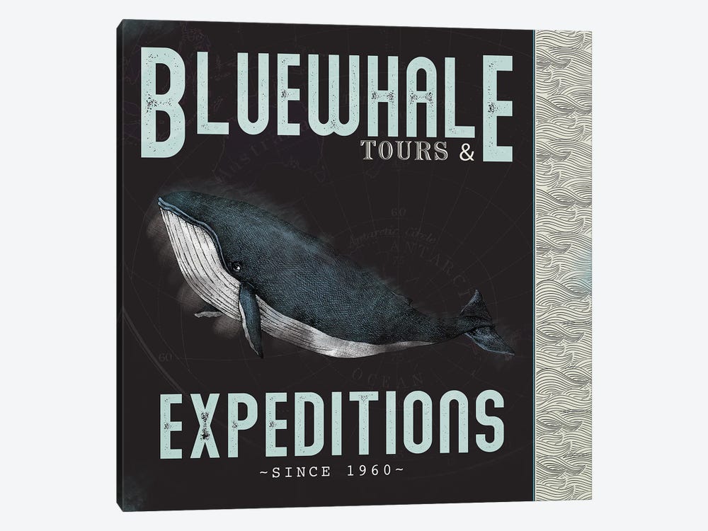 Blue Whale Tours by JMB Design 1-piece Canvas Art