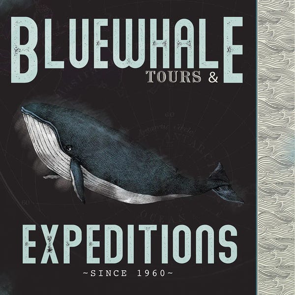 Whales: Blue Whale Tours by JMB Design