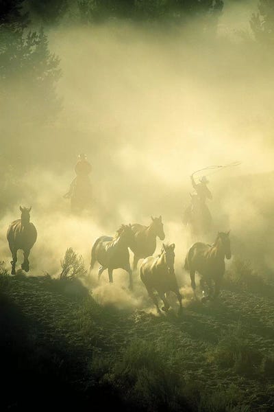 Jimmyz: Stampede by Jimmyz