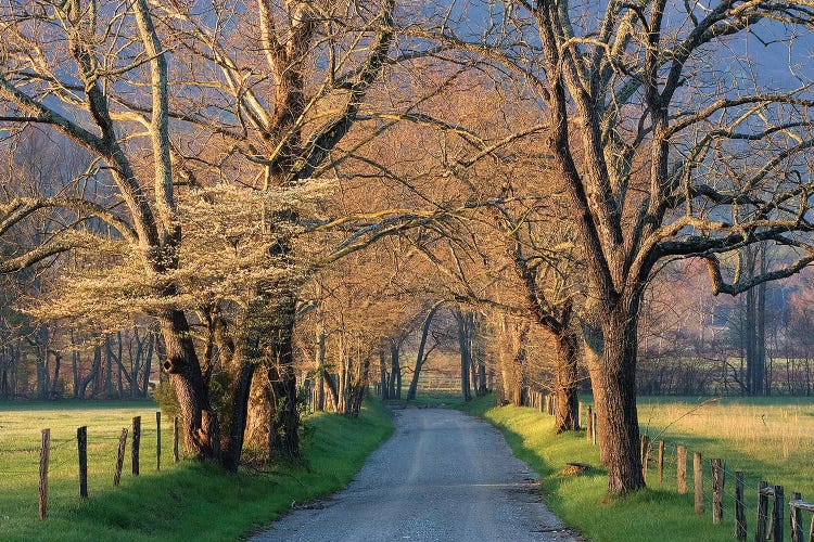 Sunset Path