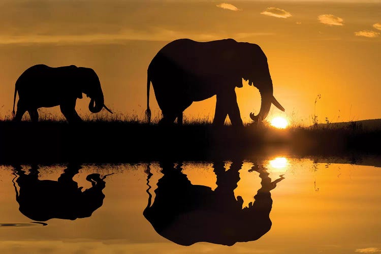 Elephants at Sundown