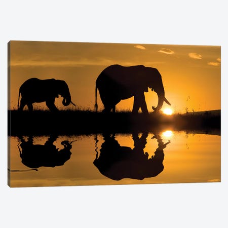 Elephants at Sundown Canvas Print #JMZ8} by Jimmyz Art Print