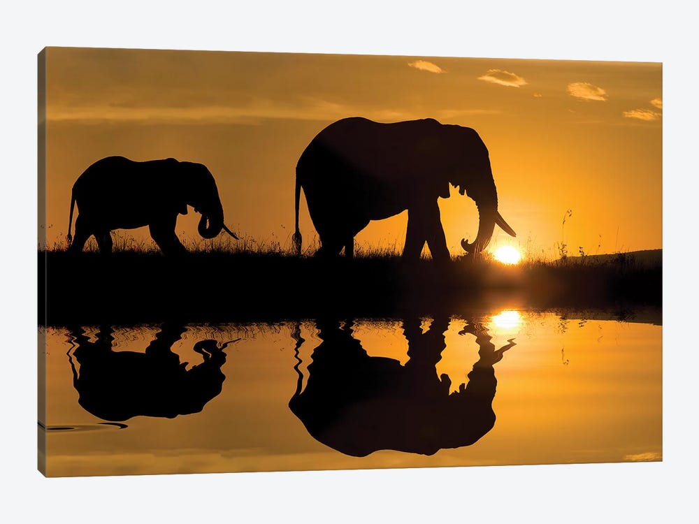 Elephants at Sundown by Jimmyz 1-piece Art Print