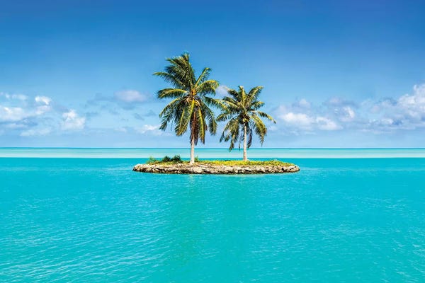 Pine Trees: Small Island On Bora Bora by Jan Becke