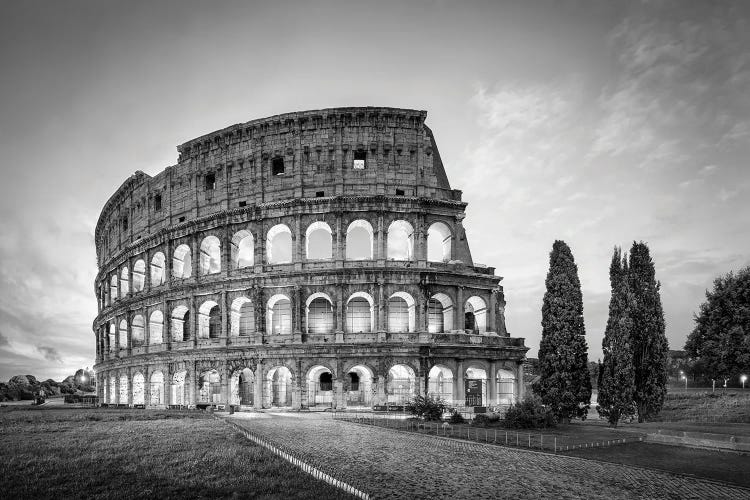 Colosseum In Rome In Black And White