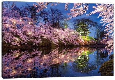 Takada Castle In Spring Canvas Art Print - Japan Art