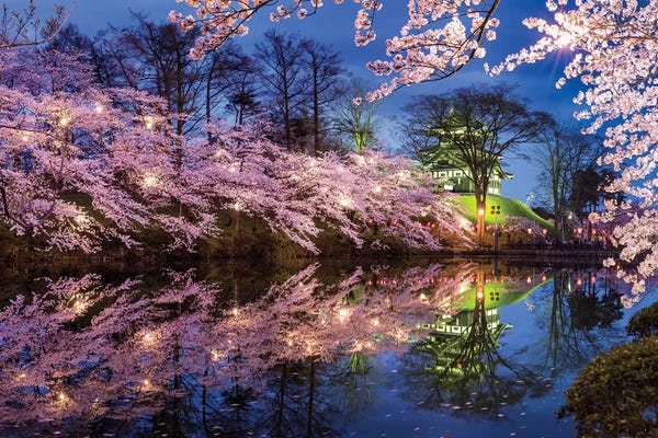 Japan: Takada Castle In Spring by Jan Becke
