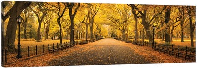 The Mall In Central Park Canvas Art Print - Trail, Path & Road Art