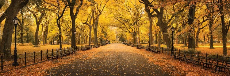 The Mall In Central Park by Jan Becke wall art
