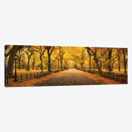 The Mall In Central Park Canvas Print #JNB114} by Jan Becke Canvas Artwork