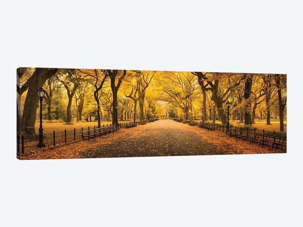 The Mall In Central Park by Jan Becke 1-piece Canvas Print