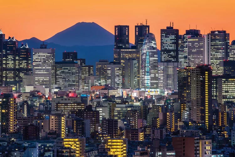 Tokyo Skyline With Mount Fuji At Night