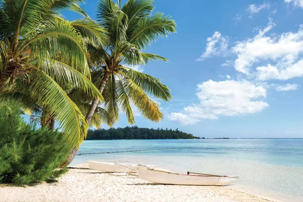 Pine Trees: Tropical Beach by Jan Becke