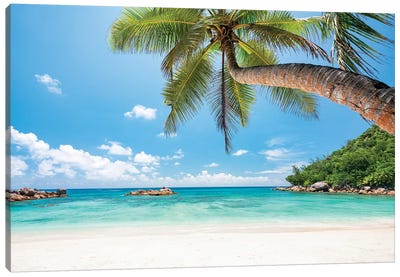 Tropical Beach With Palm Tree Canvas Art Print - Large Coastal Art