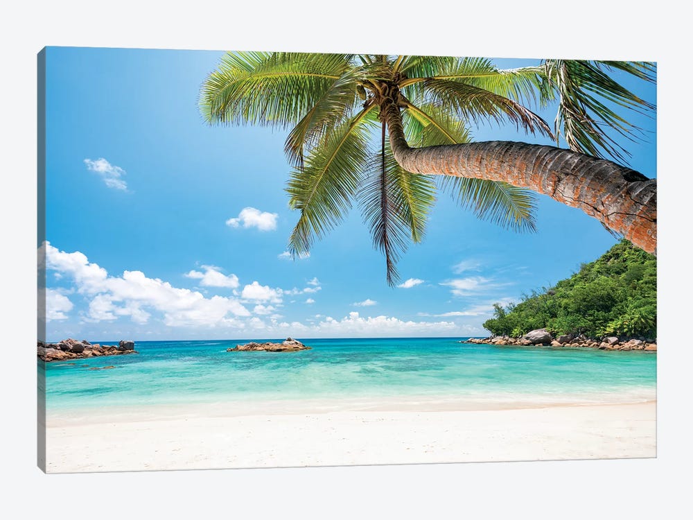 Tropical Beach With Palm Tree by Jan Becke 1-piece Canvas Artwork