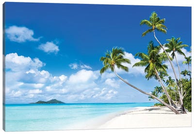 Tropical Beach With Palm Trees Canvas Art Print - French Polynesia Art