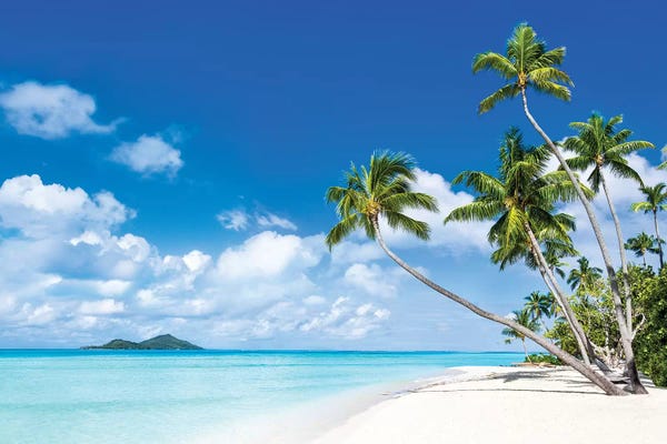 Large Coastal Art - Canvas Prints: Tropical Beach With Palm Trees by Jan Becke