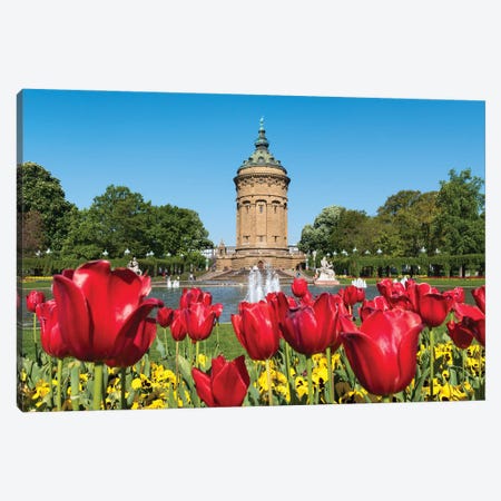 Red Tulip Flowers At The Mannheim Wasserturm In Spring, Baden-Württemberg, Germany Canvas Print #JNB1242} by Jan Becke Canvas Art