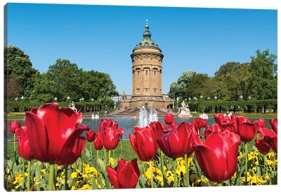 Red Tulip Flowers At The Mannheim Wasserturm In Spring, Baden-Württemberg, Germany Canvas Art Print - Germany Art