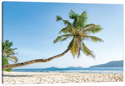 Lonely Palm Tree At Anse Banane Beach, La Digue, Seychelles Canvas Art Print - La Digue
