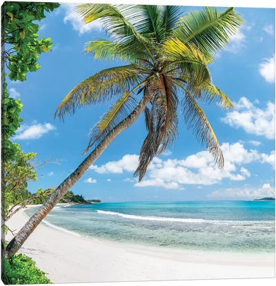 Palm Tree At The Beach, Petite Anse Kerlan Beach, Praslin, Seychelles Canvas Art Print