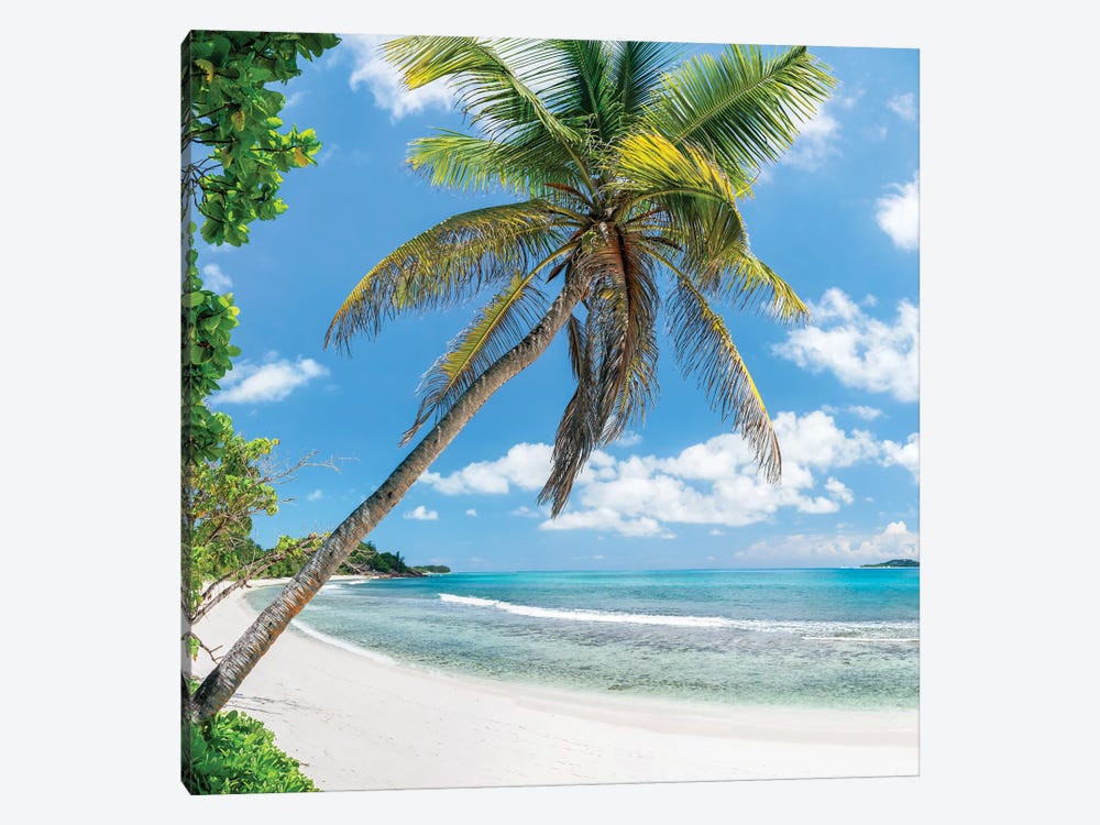 Palm Tree At The Beach, Petite Anse Kerlan Beach, Praslin, Seychelles by Jan Becke 1-piece Art Print