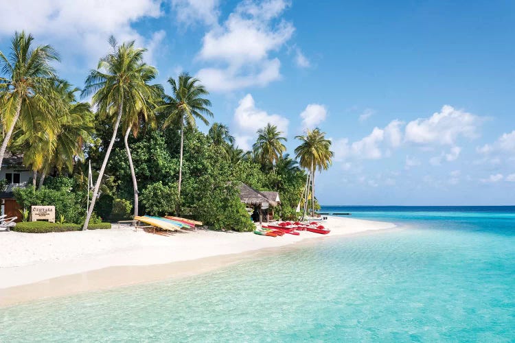 Tropical Island In The Maldives