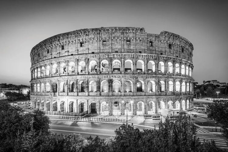 Colosseum In Rome Monochrome