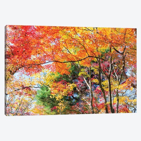 Autumn Foliage In Kyoto, Japan Canvas Print #JNB1417} by Jan Becke Canvas Wall Art