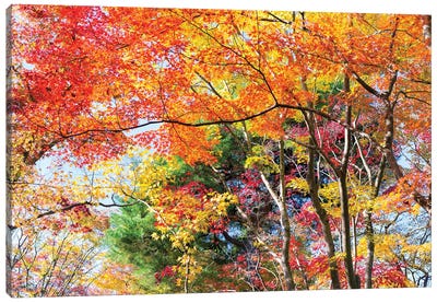 Autumn Foliage In Kyoto, Japan Canvas Art Print - Japan