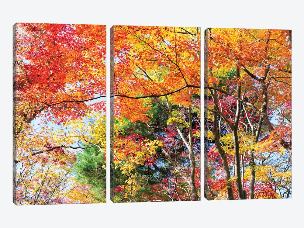 Autumn Foliage In Kyoto, Japan by Jan Becke 3-piece Canvas Art Print