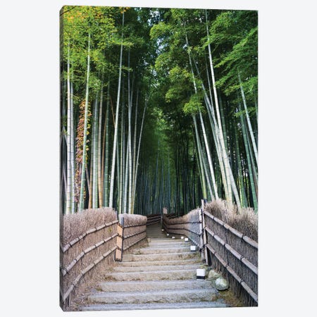 Bamboo Grove At The Adashino Nenbutsu-Ji Temple In Kyoto, Japan Canvas Print #JNB1419} by Jan Becke Art Print