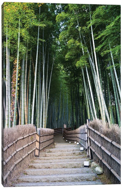 Bamboo Grove At The Adashino Nenbutsu-Ji Temple In Kyoto, Japan Canvas Art Print - Kyoto