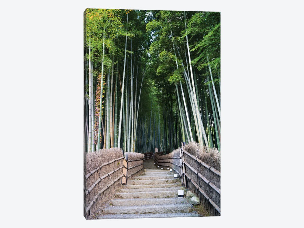 Bamboo Grove At The Adashino Nenbutsu-Ji Temple In Kyoto, Japan by Jan Becke 1-piece Art Print
