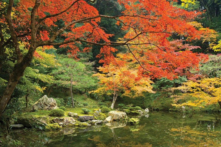 Japanese Garden In Autumn, Kyoto, Japan