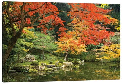 Japanese Garden In Autumn, Kyoto, Japan Canvas Art Print - Zen Master