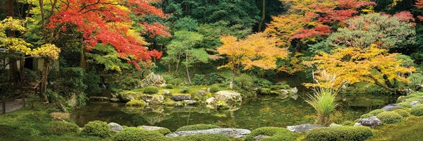 Kyoto: Panoramic View Of A Japanese Garden In Autumn Season, Kyoto, Japan by Jan Becke