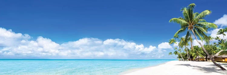 Tropical Beach Panorama On Bora Bora