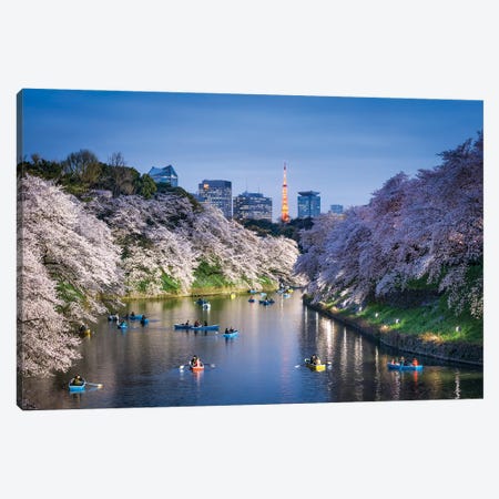 Chidorigafuchi Light Up Event During Cherry Blossom Season With Tokyo Tower, Tokyo, Japan Canvas Print #JNB1453} by Jan Becke Canvas Print