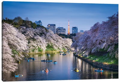 Chidorigafuchi Light Up Event During Cherry Blossom Season With Tokyo Tower, Tokyo, Japan Canvas Art Print - Tokyo Art