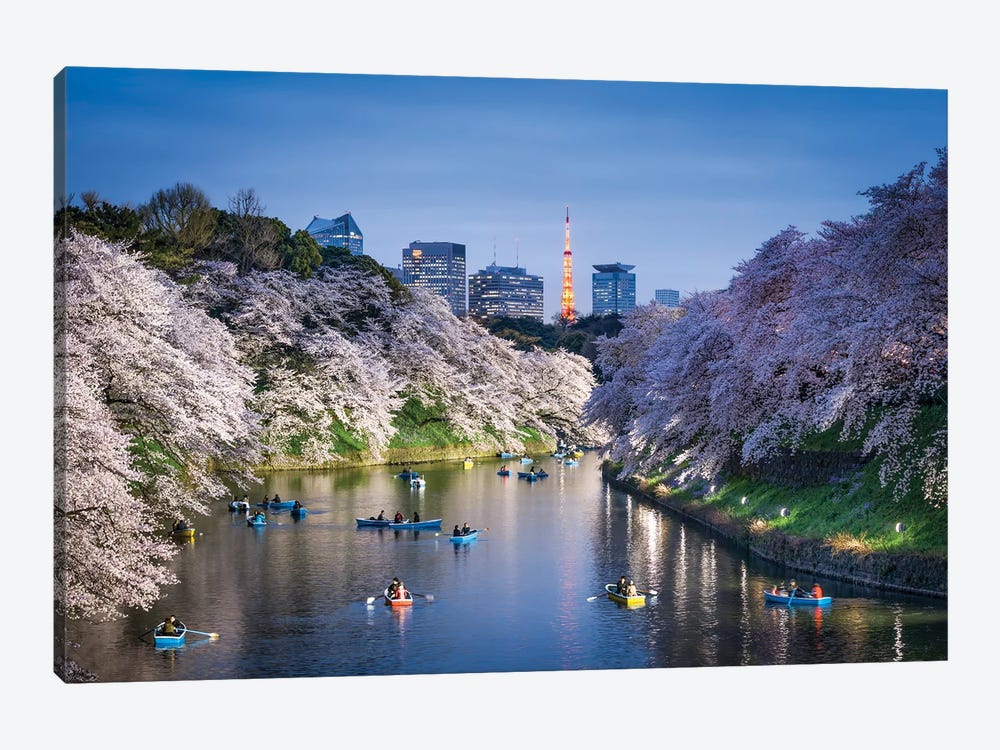 Chidorigafuchi Light Up Event During Cherry Blossom Season With Tokyo Tower, Tokyo, Japan by Jan Becke 1-piece Canvas Print
