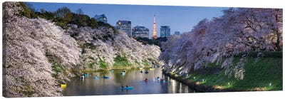 Chidorigafuchi Light Up Event During Cherry Blossom Season With Tokyo Tower In The Background, Tokyo, Japan Canvas Art Print - Tokyo Art