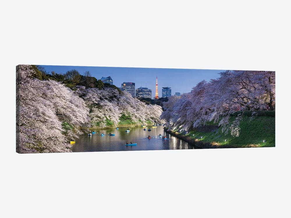 Chidorigafuchi Light Up Event During Cherry Blossom Season With Tokyo Tower In The Background, Tokyo, Japan by Jan Becke 1-piece Canvas Print