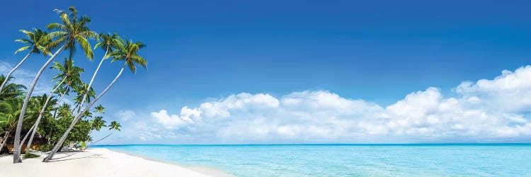 Beach Panorama On The Bora Bora Atoll