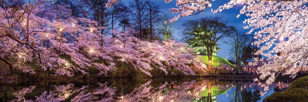 Japan: Cherry Blossom Festival At Takada Castle, Joetsu, Niigata Prefecture, Japan by Jan Becke