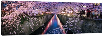 Panoramic View Of A Canal At The Nakameguro Cherry Blossom Festival In Tokyo Canvas Art Print - River, Creek & Stream Art