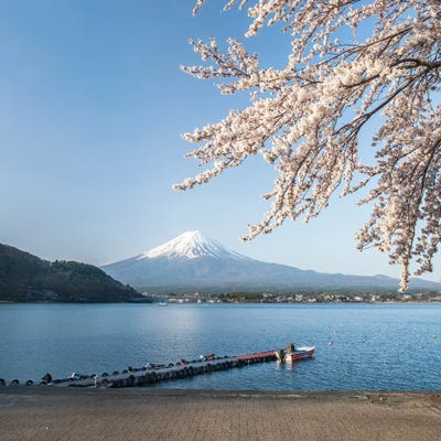 Mount Fuji In Spring, Lake Kawaguchiko, Japan by Jan Becke gallery poster