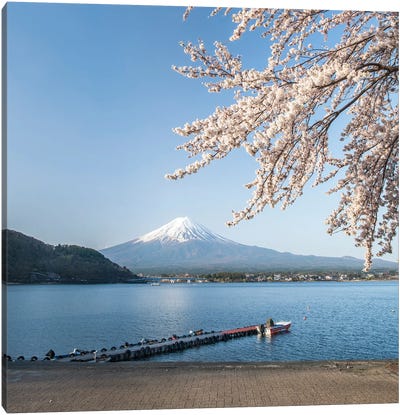 Mount Fuji In Spring, Lake Kawaguchiko, Japan Canvas Art Print